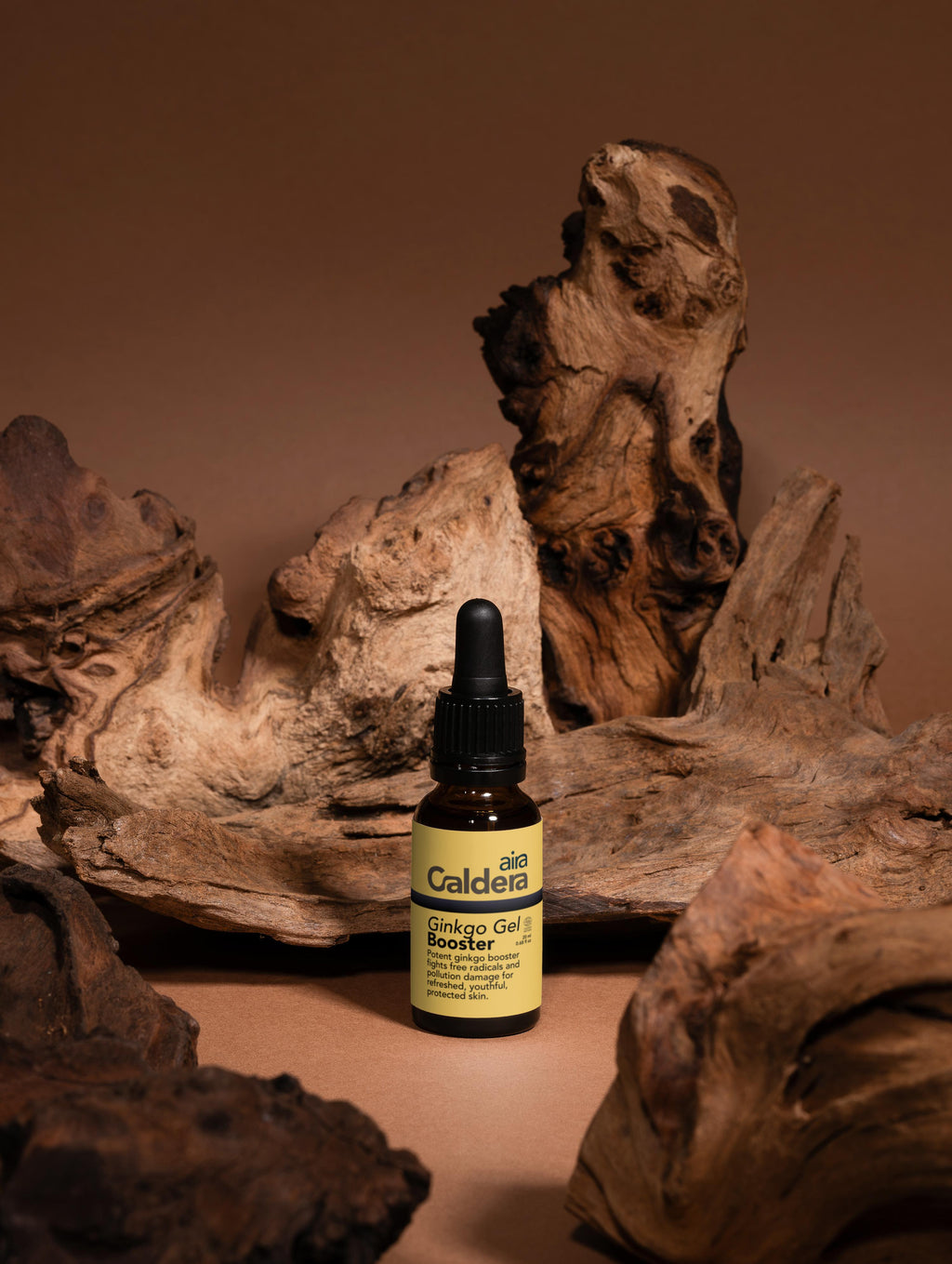 Antioxidant Ginkgo Gel Booster