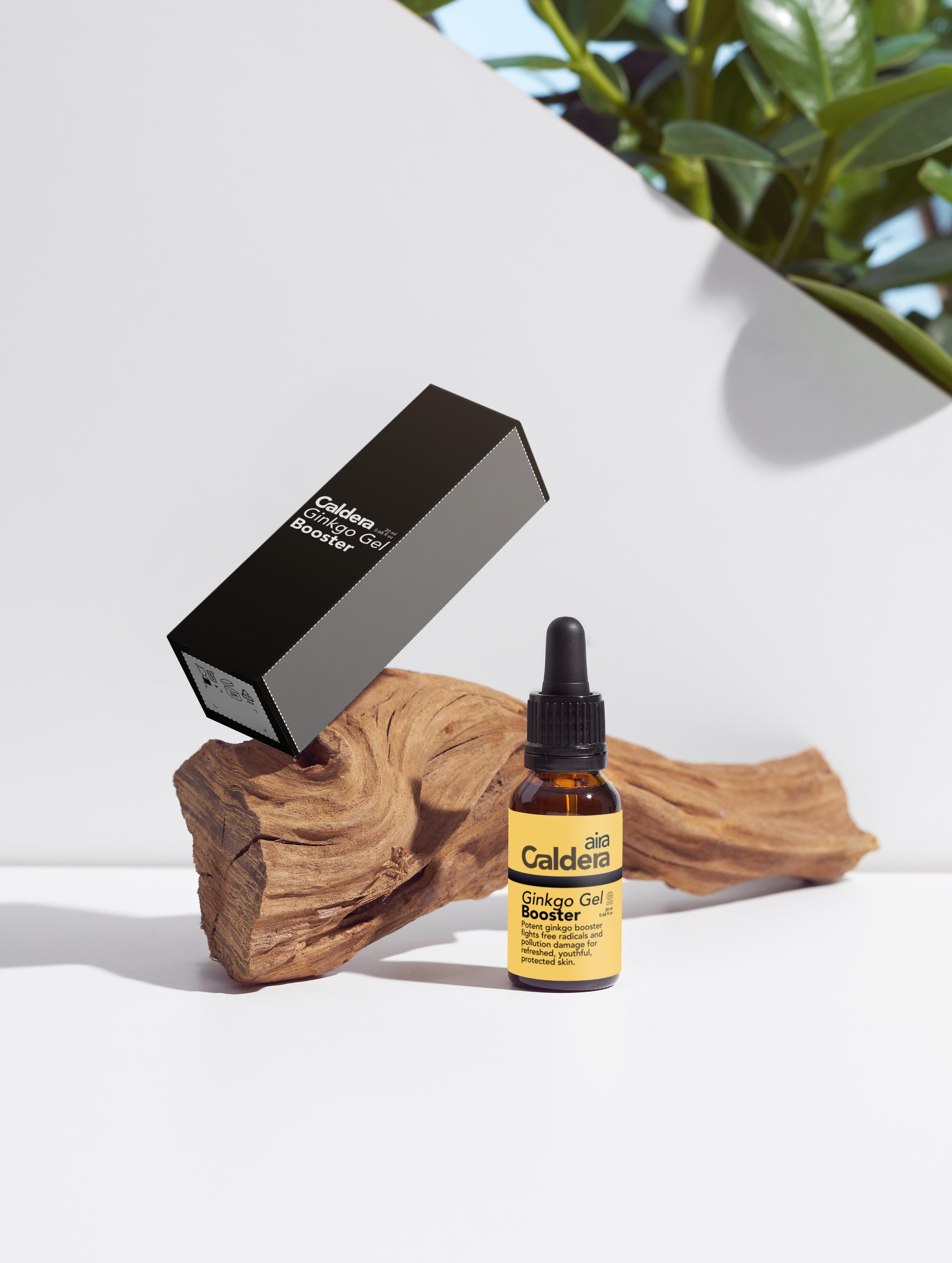 Antioxidant Ginkgo Gel Booster